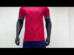 Le busbane francesi blu di pratica di calcio praticano le maglie per calcio flessibile